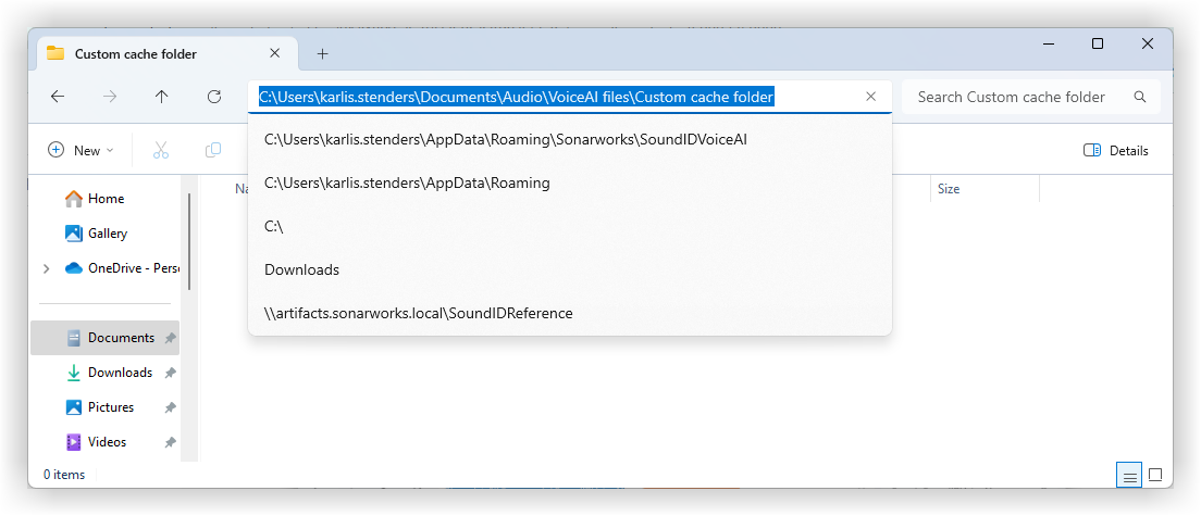 [SVAI] WIN - Copy custom filepath.png